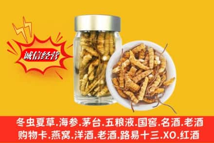 木兰县回收散虫草